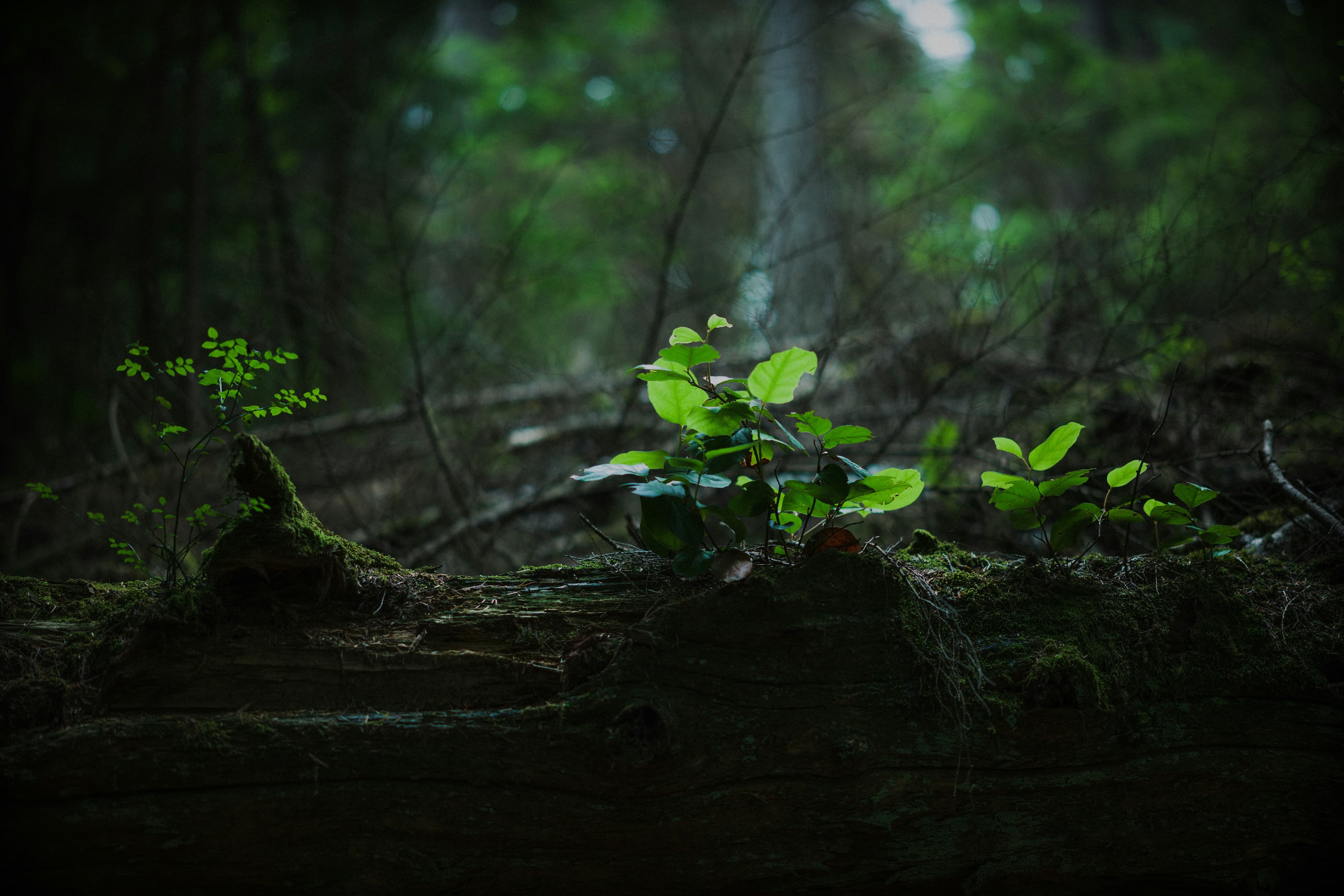 New beginnings and self-discovery